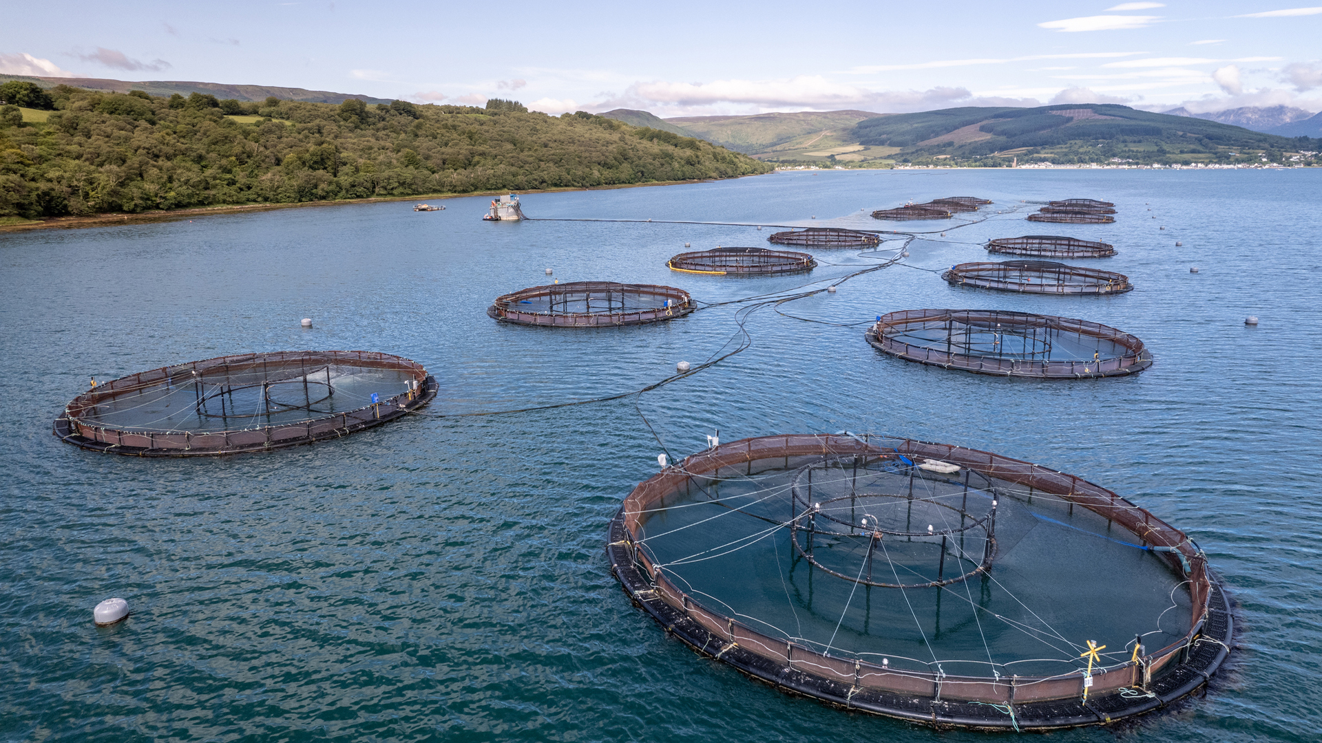 Aquaculture Workstation Pontoon